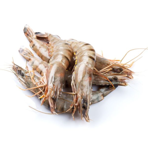 Prawns - Image 7