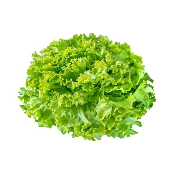 Lettuce​