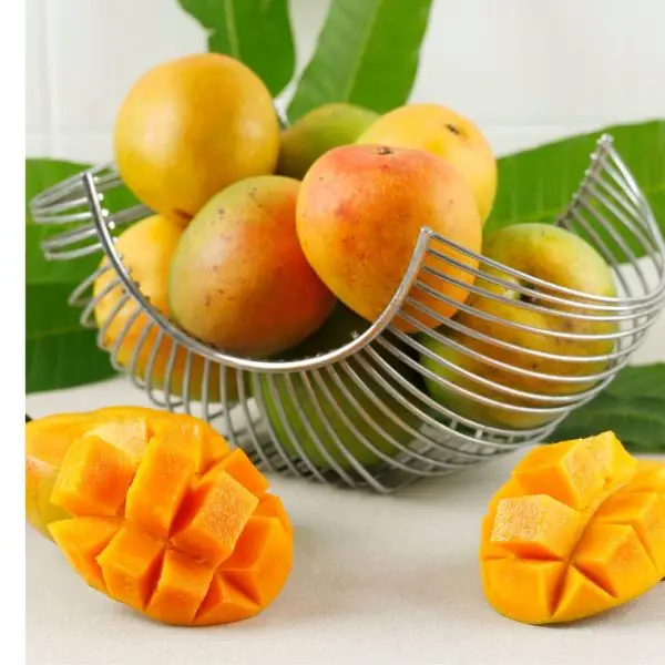 mangoes - Image 2