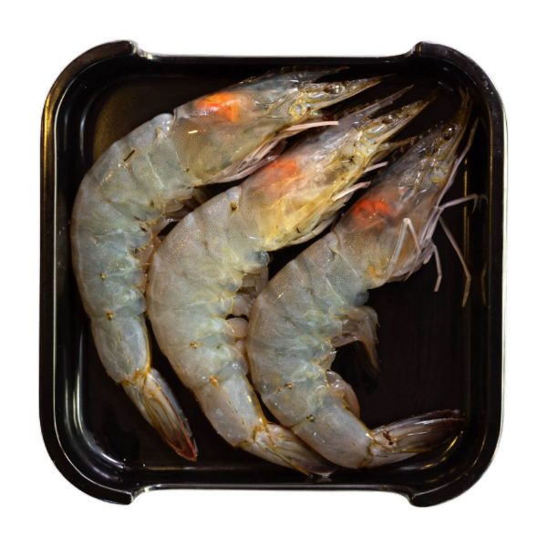 Prawns - Image 6