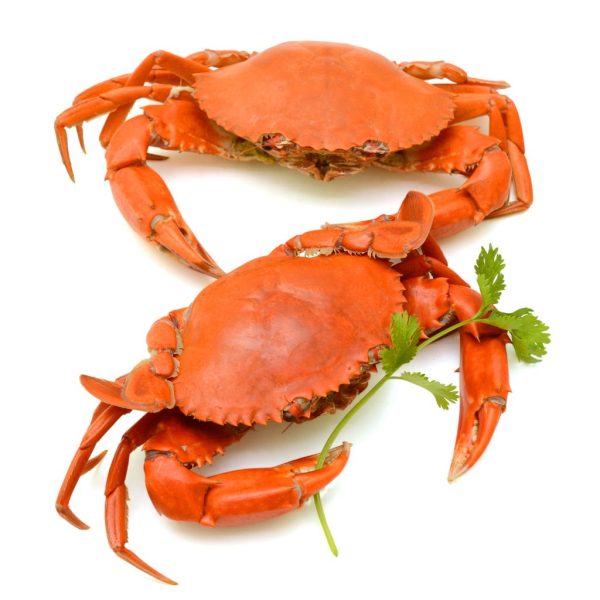 Crabs - Image 5