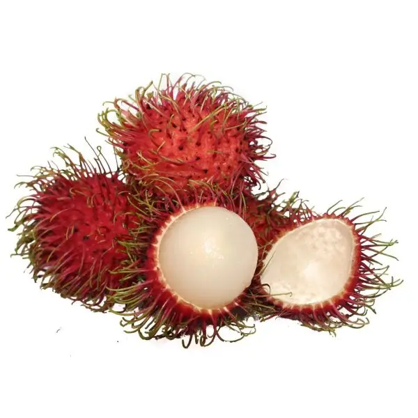 Rambutan​