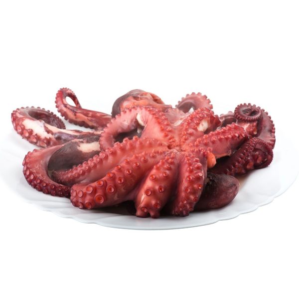 Octopus - Image 6