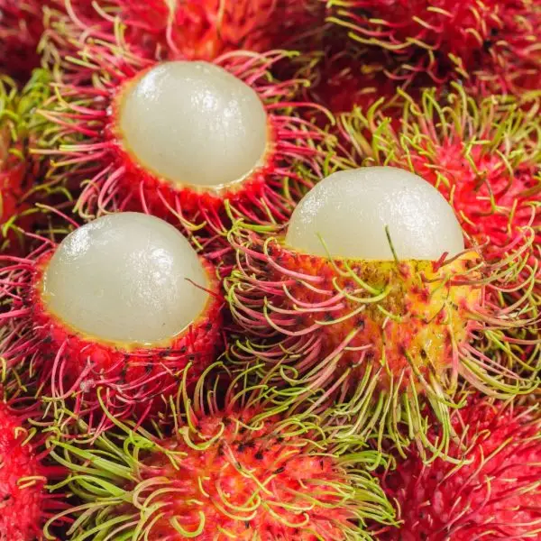 Rambutan​ - Image 5