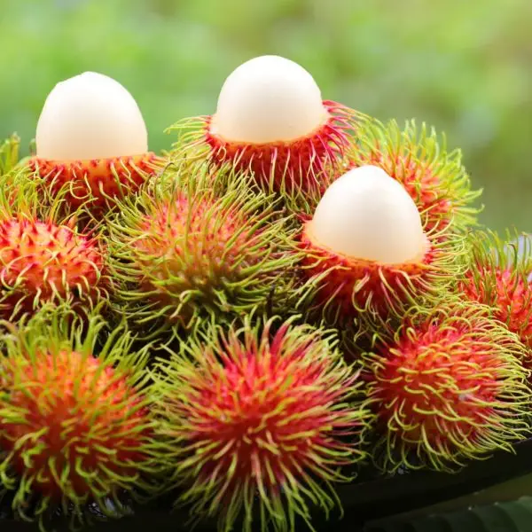 Rambutan​ - Image 4