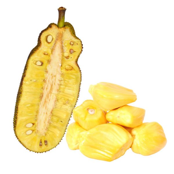 Jack Fruit​