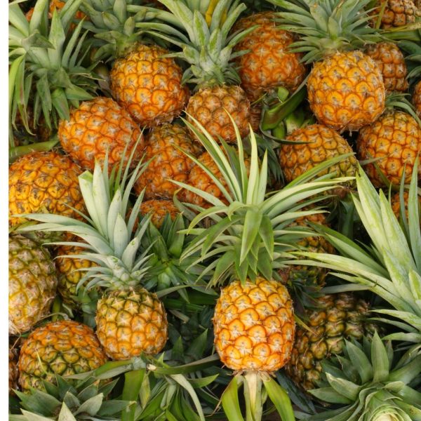 pineapple - Image 2