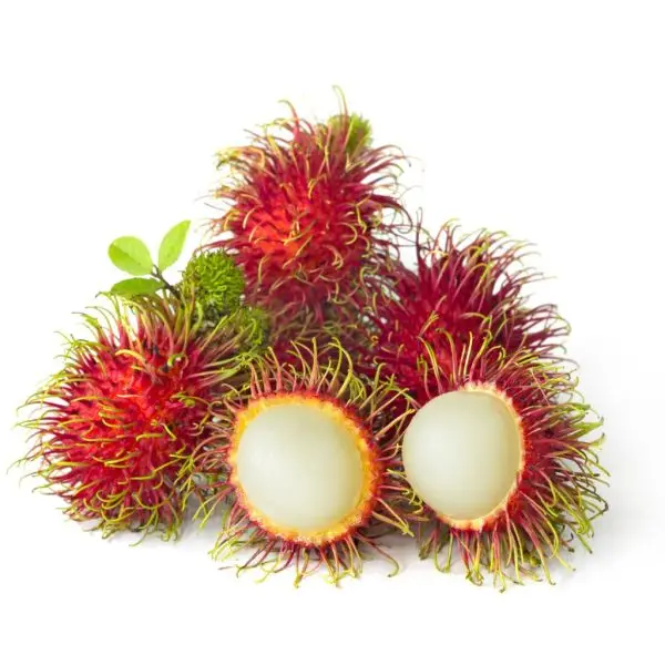 Rambutan​ - Image 3