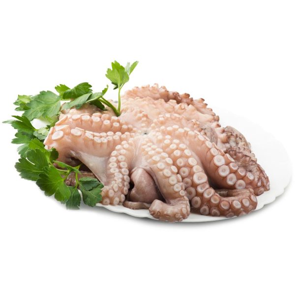 Octopus