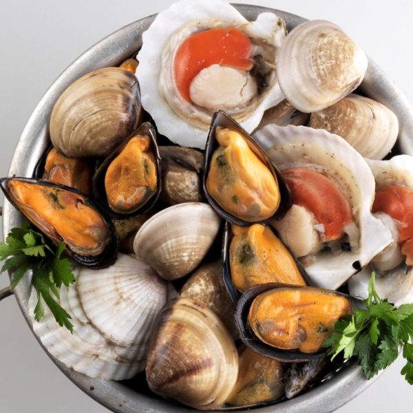 Shellfish - Image 8