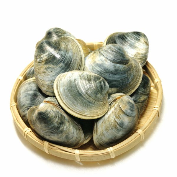 Shellfish - Image 7