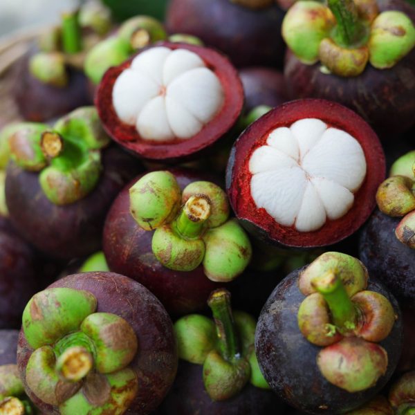 Mangosteen - Image 2