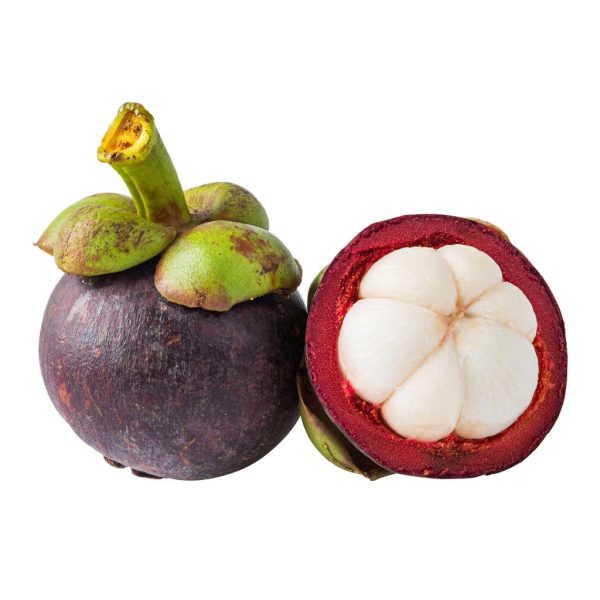 Mangosteen - Image 5