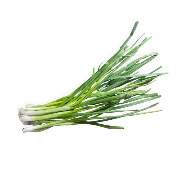 Onion Leaves​