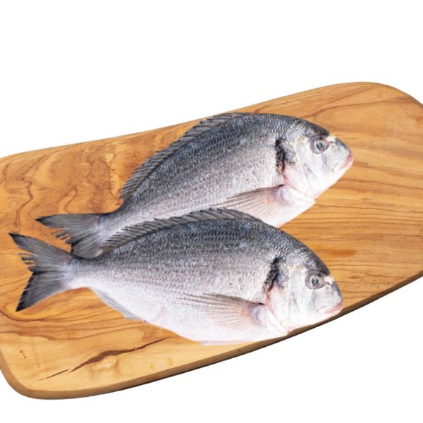 Sea Bream (Sparus aurata)