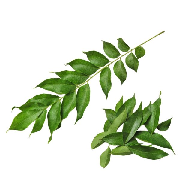 Curry Leaves​